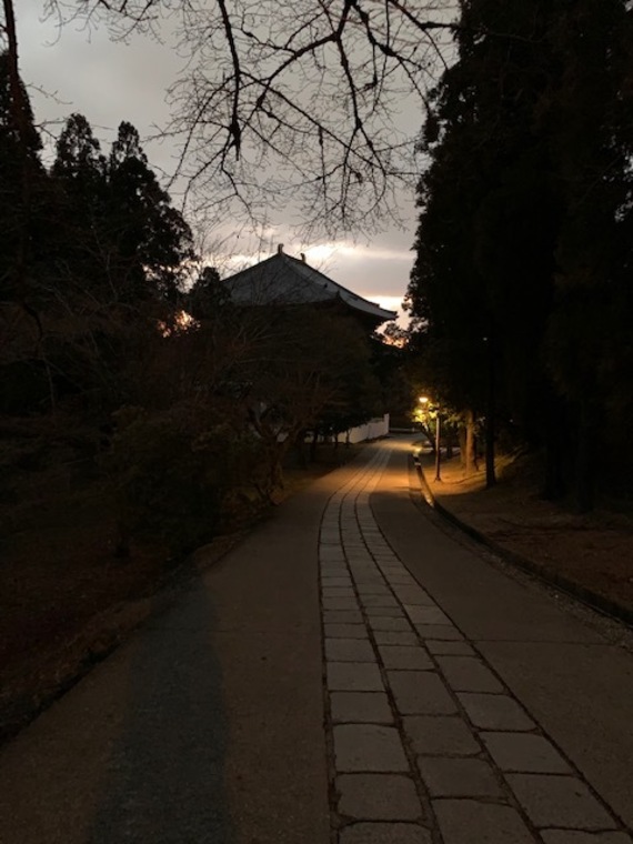 奈良の旅