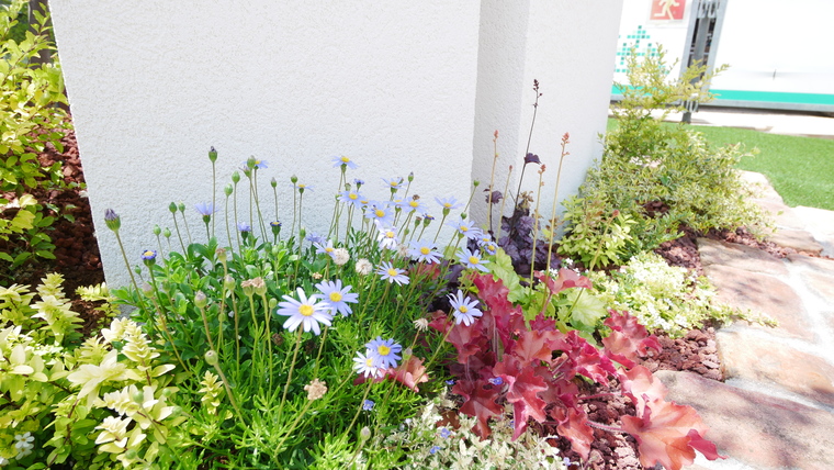 彩と可愛らしさの草花が大事 岡山市外構 美興プランニング