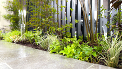 リビングテラスリフォーム　プラスGデザインフレーム