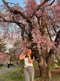 ライ　ヒラ　サリ