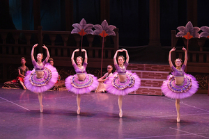 撮影　(有)テス・大阪