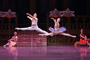 撮影　(有)テス・大阪