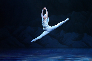 撮影　(有)テス・大阪