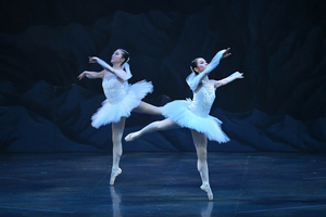 撮影　(有)テス・大阪