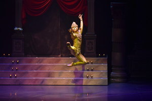 撮影　(有)テス・大阪