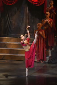 撮影　(有)テス・大阪