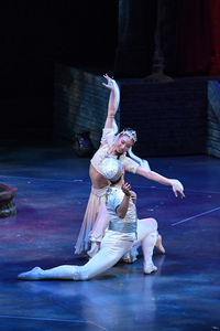 撮影　(有)テス・大阪