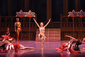 撮影　(有)テス・大阪