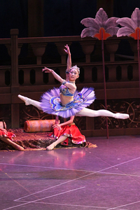 撮影　(有)テス・大阪