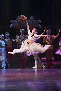 撮影　(有)テス・大阪