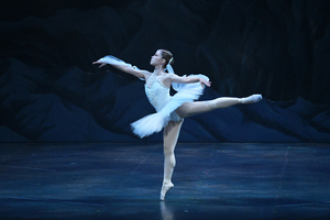 撮影　(有)テス・大阪