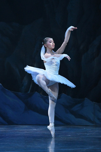 撮影　(有)テス・大阪