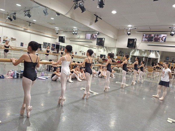 今日の初トウさん