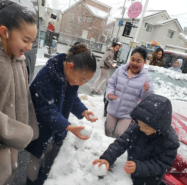 これまた、もうすぐ春なのに…