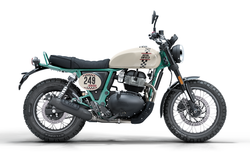 BEAR 650