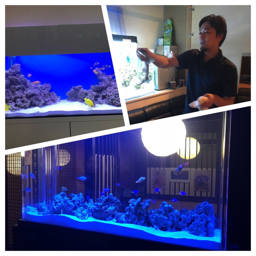 Shark スタッフブログ一覧 観賞魚水槽 アクアリウムならオーシャンプロデュース 関西シェアno 1大阪