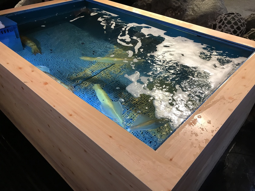 かに道楽本店