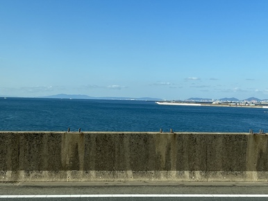雨上がり