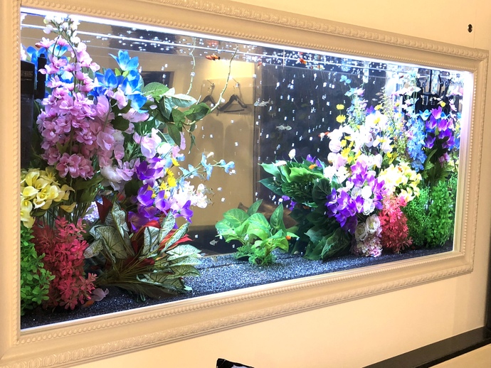 水槽設置 デザイン 設置実績 オーシャンプロデュース