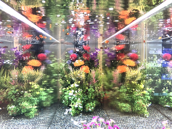 水槽設置 デザイン 設置実績 オーシャンプロデュース