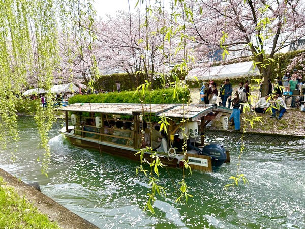 激推し！京都オトナのお花見スポット