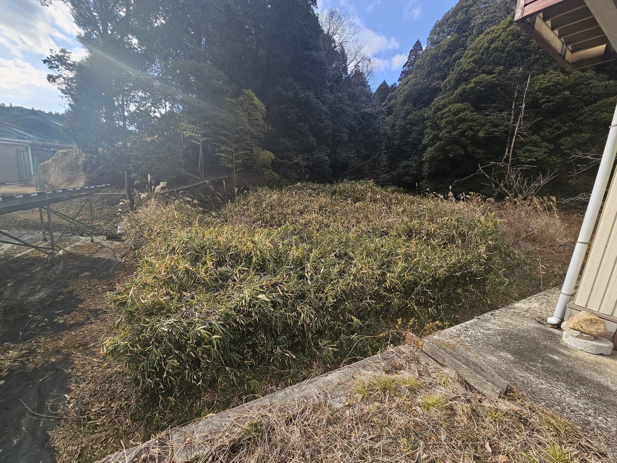 現地写真