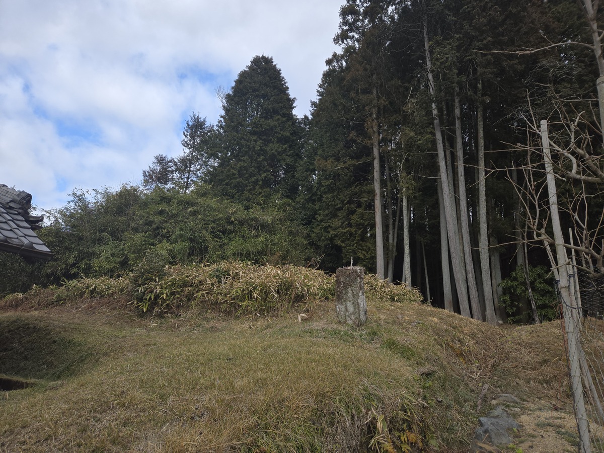 現地写真