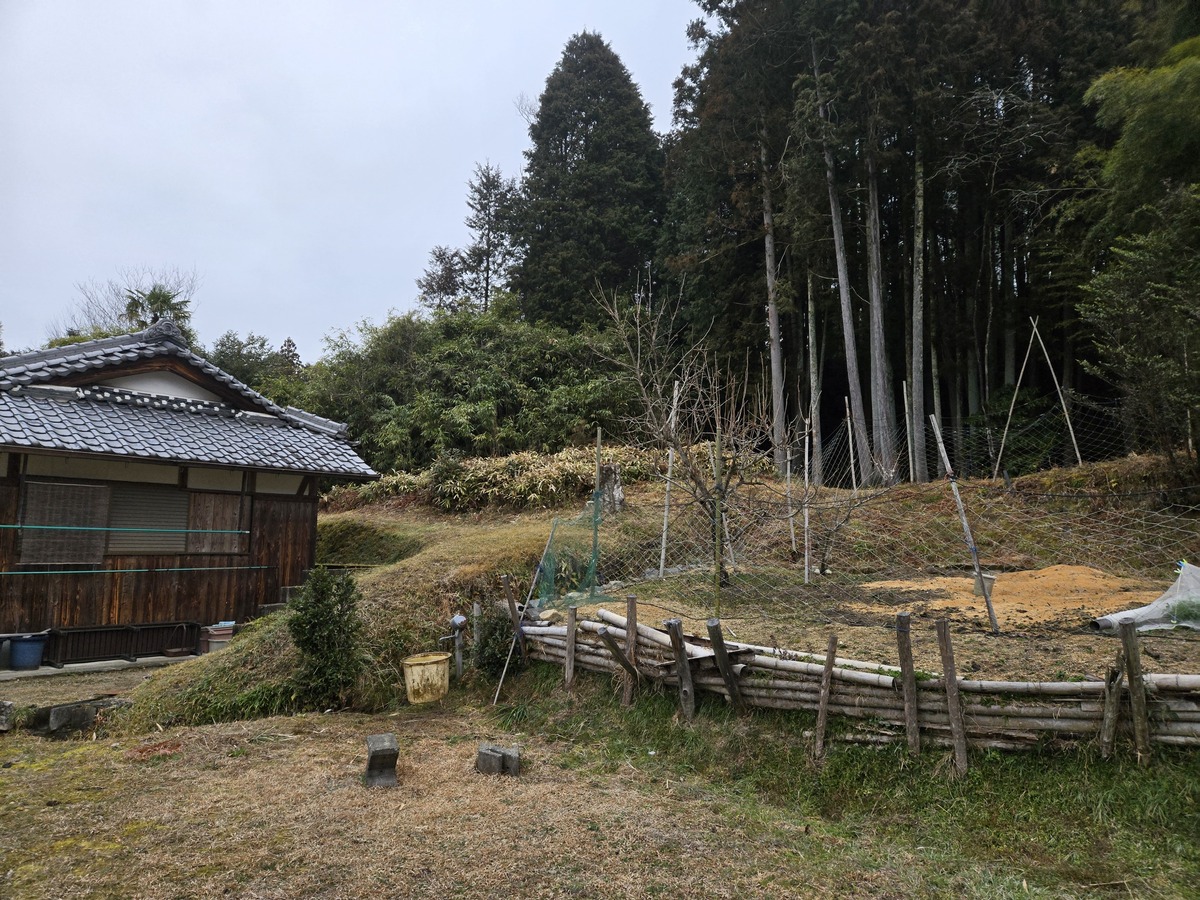 現地写真