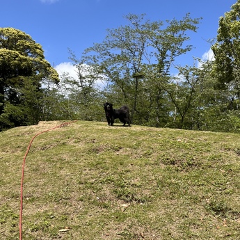 さくらの里公園