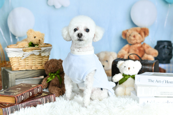 撮影会🐶📸