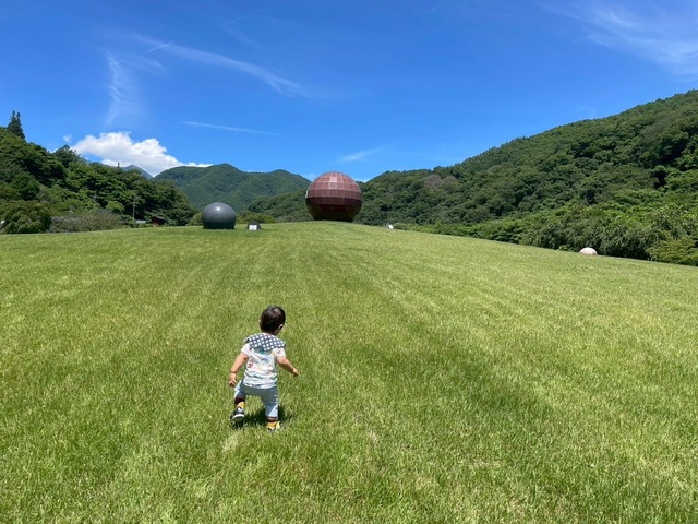 8月の予定