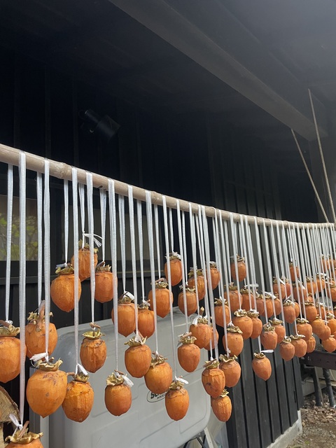 11月の予定&テーマ