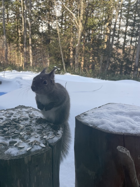 2月の予定＆テーマ