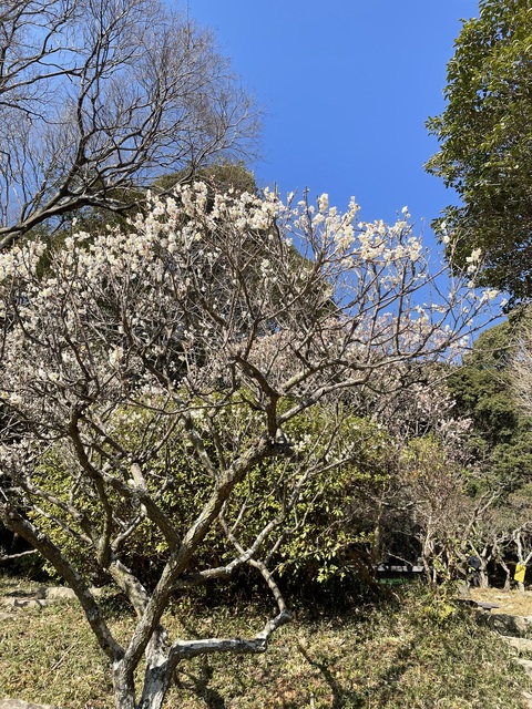 3月の予定＆テーマ