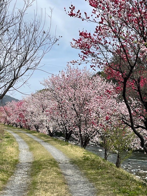 頭のモヤモヤが晴れて、久々に深く眠れた日のこと